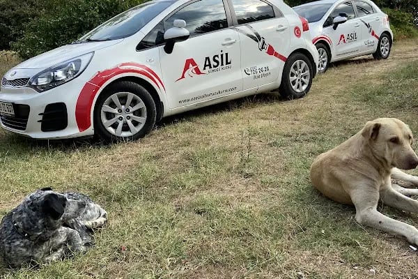 Özel Asil Sürücü Kursu Çerkezköy - Resim 9
