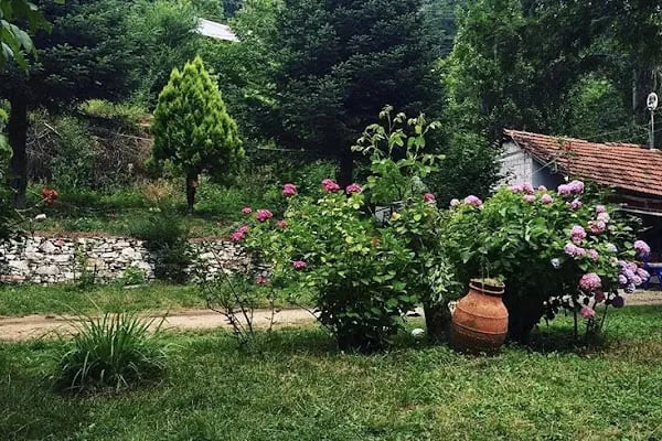 YENİ DEĞİRMEN EROL USTANIN YERİ 35 - Resim 5