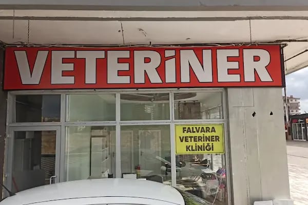 Bosna Falvara Veteriner Kliniği - Resim 12