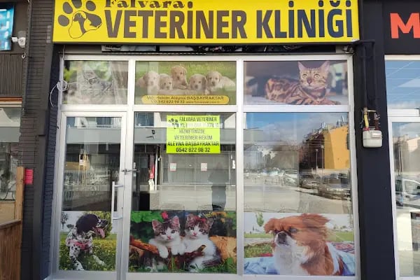 Bosna Falvara Veteriner Kliniği - Resim 2