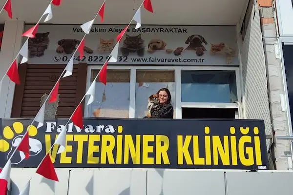 Bosna Falvara Veteriner Kliniği - Resim 8