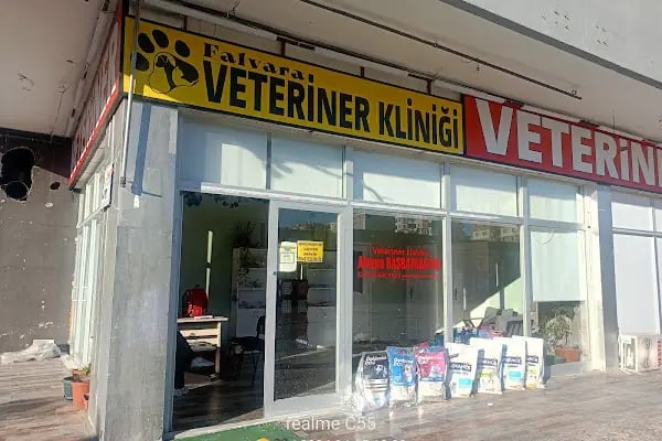 Bosna Falvara Veteriner Kliniği - Resim 6