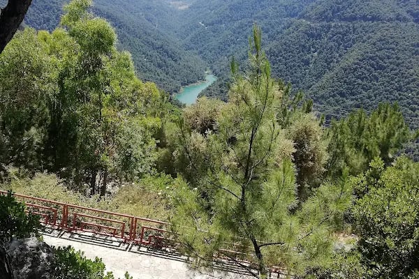 Orman İçi Cafe & Restaurant - Resim 7