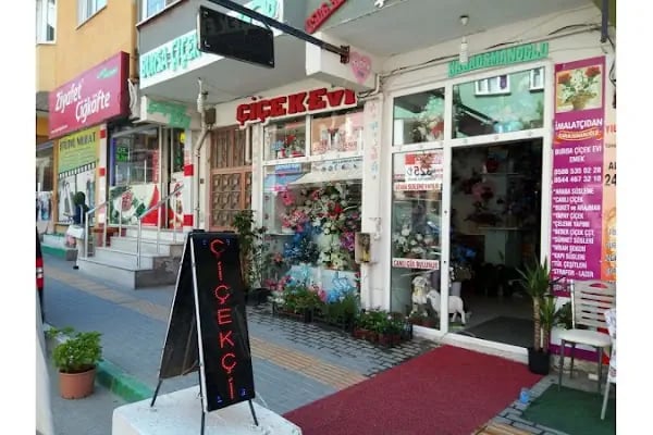 Bursa Çiçek ,Bursa Çiçek Evi . Bursa Çiçekçi - Resim 8