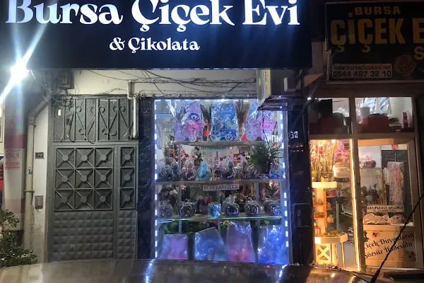Bursa Çiçek ,Bursa Çiçek Evi . Bursa Çiçekçi - Resim 2