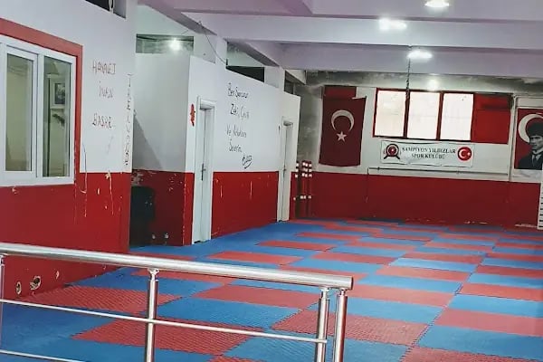 Şampiyon Yıldızlar Spor Kulübü - Resim 17