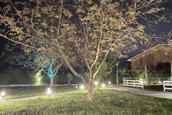 Bizim Bahçe Restaurant Çorlu - Resim 4