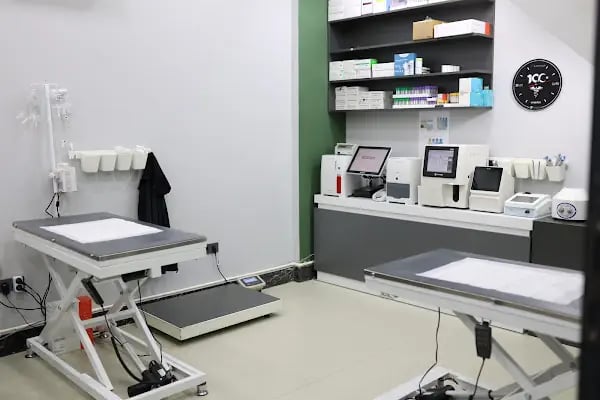 Penguen Veteriner Kliniği (Mahmutlar) - Resim 2