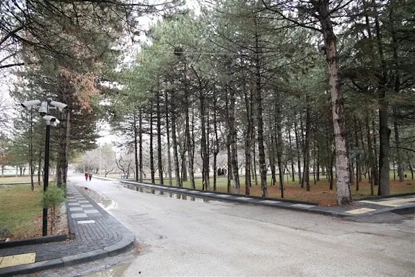 Ankara Yıldırım Beyazıt Üniversitesi Çubuk Yerleşkesi - Resim 5