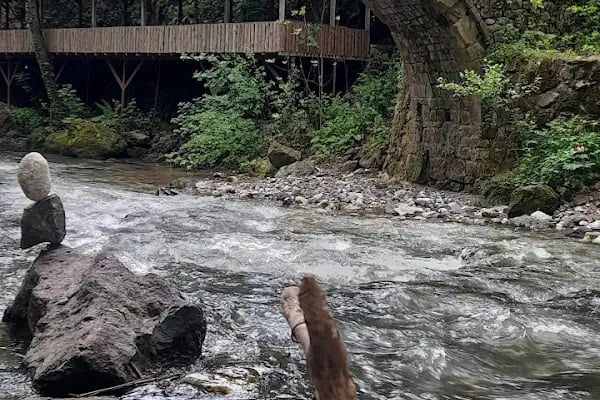 Bı fincan mola - Resim 7