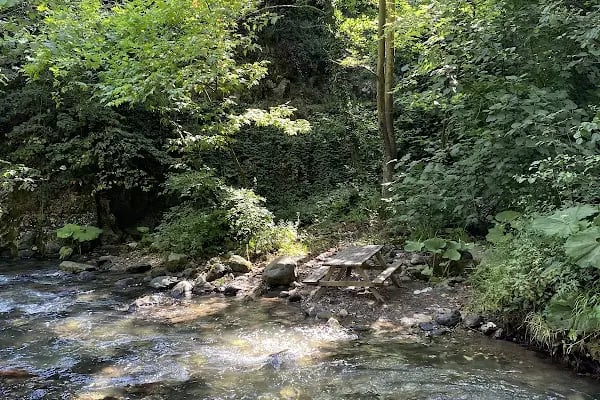 Bı fincan mola - Resim 10