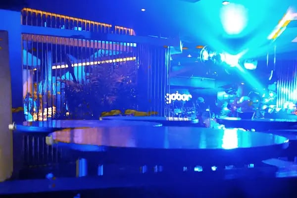 Bongo Bar - Resim 8