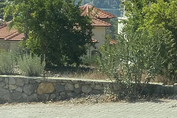 Villa hills - Resim 5