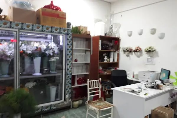 Beyaz Papatya Çiçekçilik - Resim 18