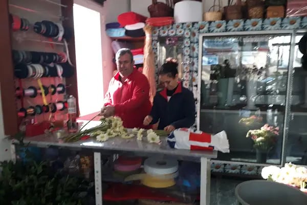 Beyaz Papatya Çiçekçilik - Resim 17