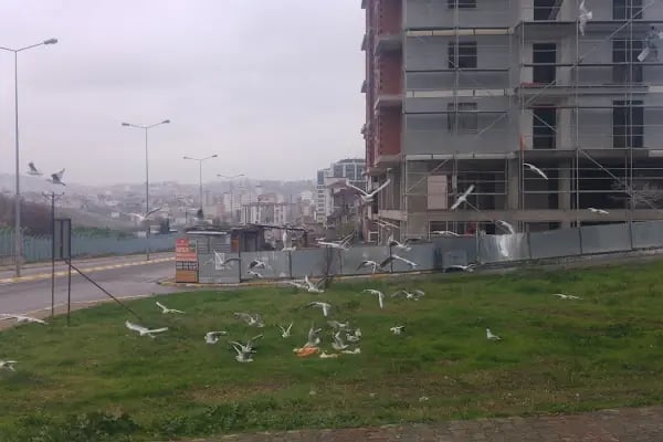 İkram TM Yemek Hizmetleri - Resim 13