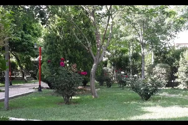 Rasim ergene çay bahçesi, bilardo salonu ve eğlence merkezi - Resim 18