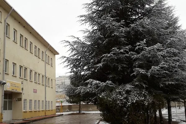 Akçadağ Kozluca Ahmet Yesevi Anadolu Lisesi - Resim 6