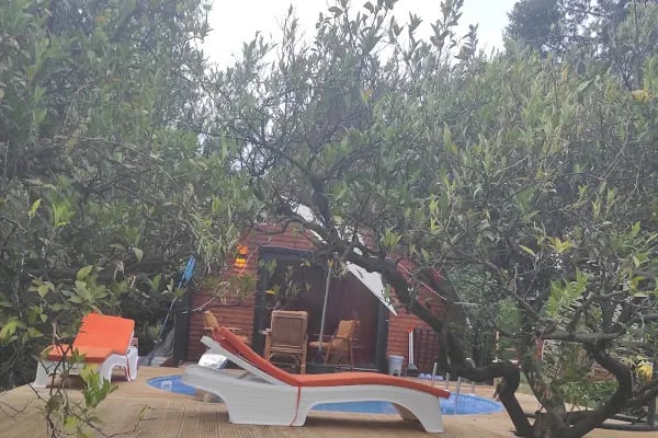 Portakal Bungalov - Resim 8