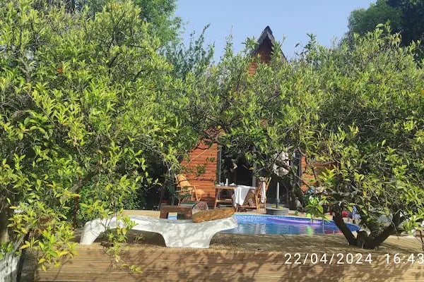 Portakal Bungalov - Resim 11