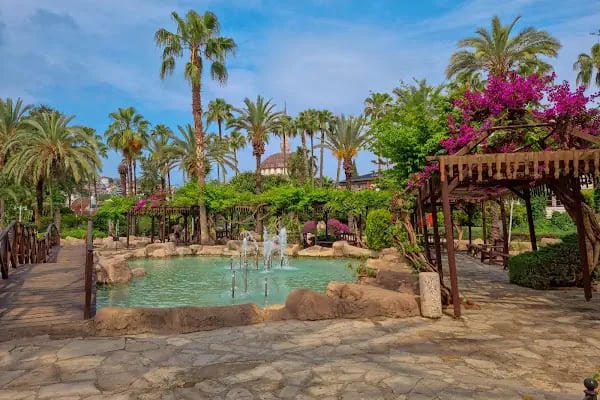 Alanya Belediyesi Kedi Parkı - Resim 3