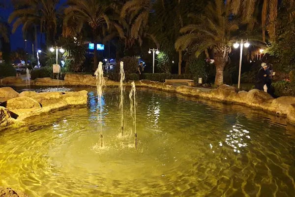 Alanya Belediyesi Kedi Parkı - Resim 10