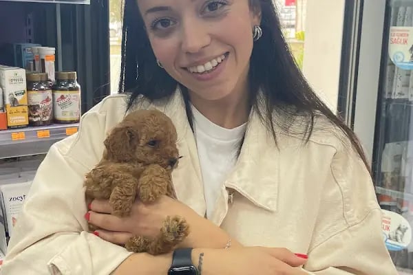 Petshop Petoloji - Resim 8