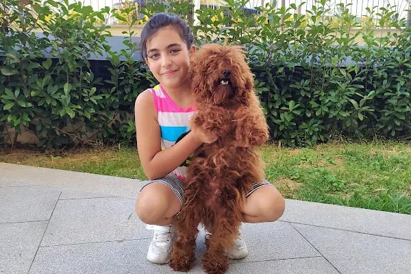 Petshop Petoloji - Resim 6