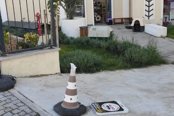 Petshop Petoloji - Resim 9