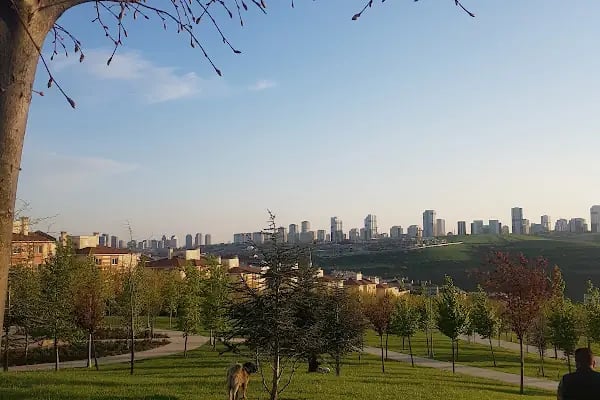 Armina Evleri Sitesi - Resim 14