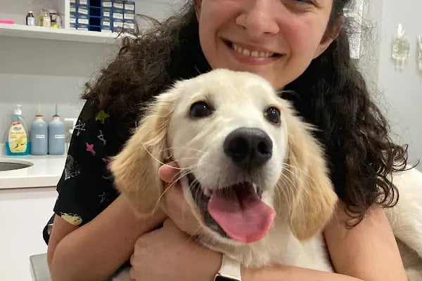 ŞirinVet Pet ve Kuş Veteriner Kliniği Bahçelievler - Resim 10