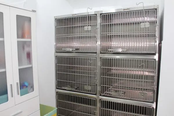 ŞirinVet Pet ve Kuş Veteriner Kliniği Bahçelievler - Resim 5