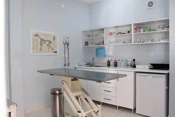 ŞirinVet Pet ve Kuş Veteriner Kliniği Bahçelievler - Resim 6