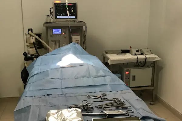 ŞirinVet Pet ve Kuş Veteriner Kliniği Bahçelievler - Resim 15