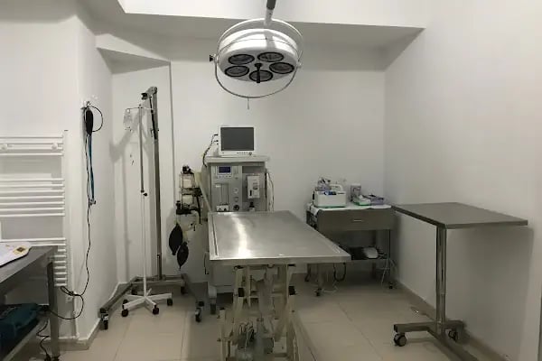 ŞirinVet Pet ve Kuş Veteriner Kliniği Bahçelievler - Resim 7