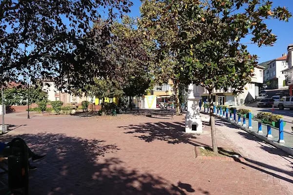 Bahçecik Merkez Cami - Resim 13
