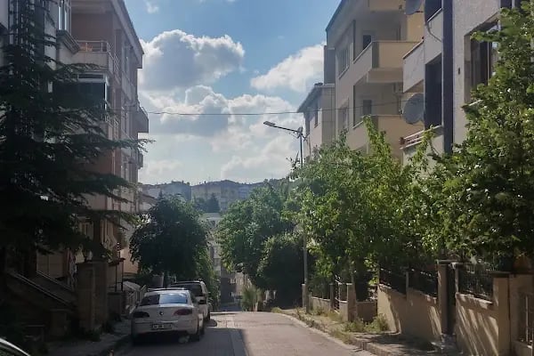 OLGUN MARKET - Resim 7