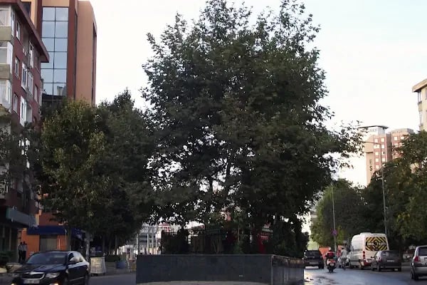 Ali Gazi Baba Türbesi - Resim 14