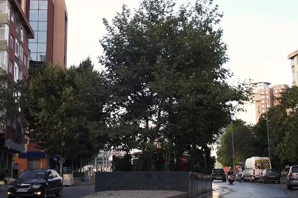 Ali Gazi Baba Türbesi - Resim 3