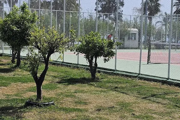 Antalya Büyükşehir Belediyesi Konyaaltı Beachpark Tenis Kortları - Resim 7