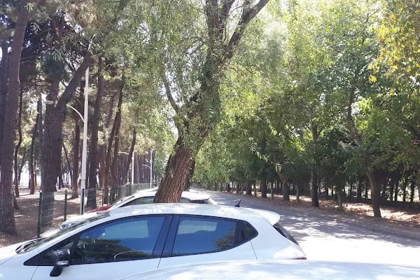 İznik Plajı - Resim 19