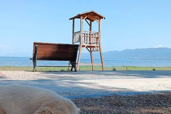 İznik Plajı - Resim 7