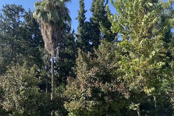 Hacı Mehmet Okan Park - Resim 7