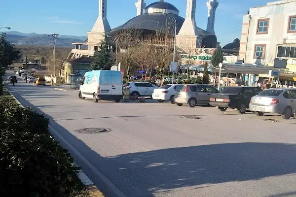 Sakarya Şeyh Edebali Camii - Resim 19