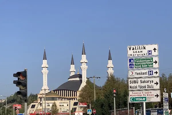 Sakarya Şeyh Edebali Camii - Resim 15