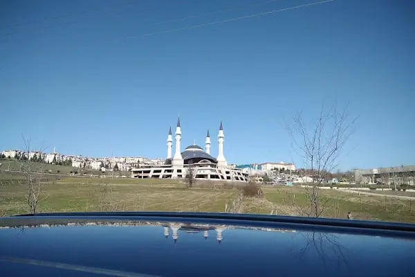 Sakarya Şeyh Edebali Camii - Resim 17
