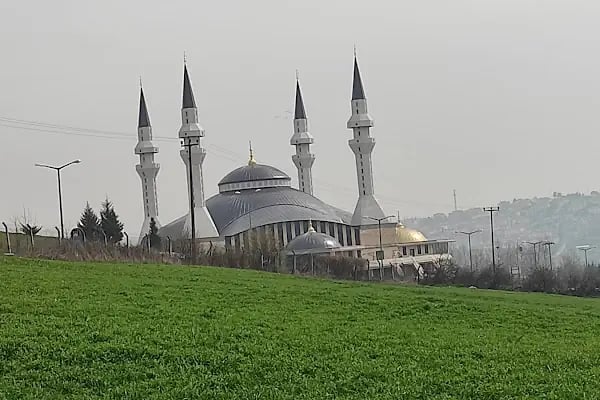 Sakarya Şeyh Edebali Camii - Resim 1