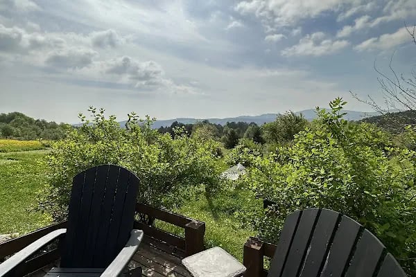 Woodstock Dağ Evi &amp; Mountain Lodge - Resim 17