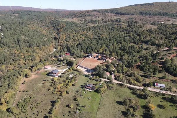 Woodstock Dağ Evi &amp; Mountain Lodge - Resim 10