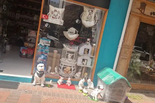 Alanya Petshop 777 - Resim 7
